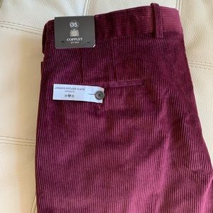 Coppley modern vervet pant